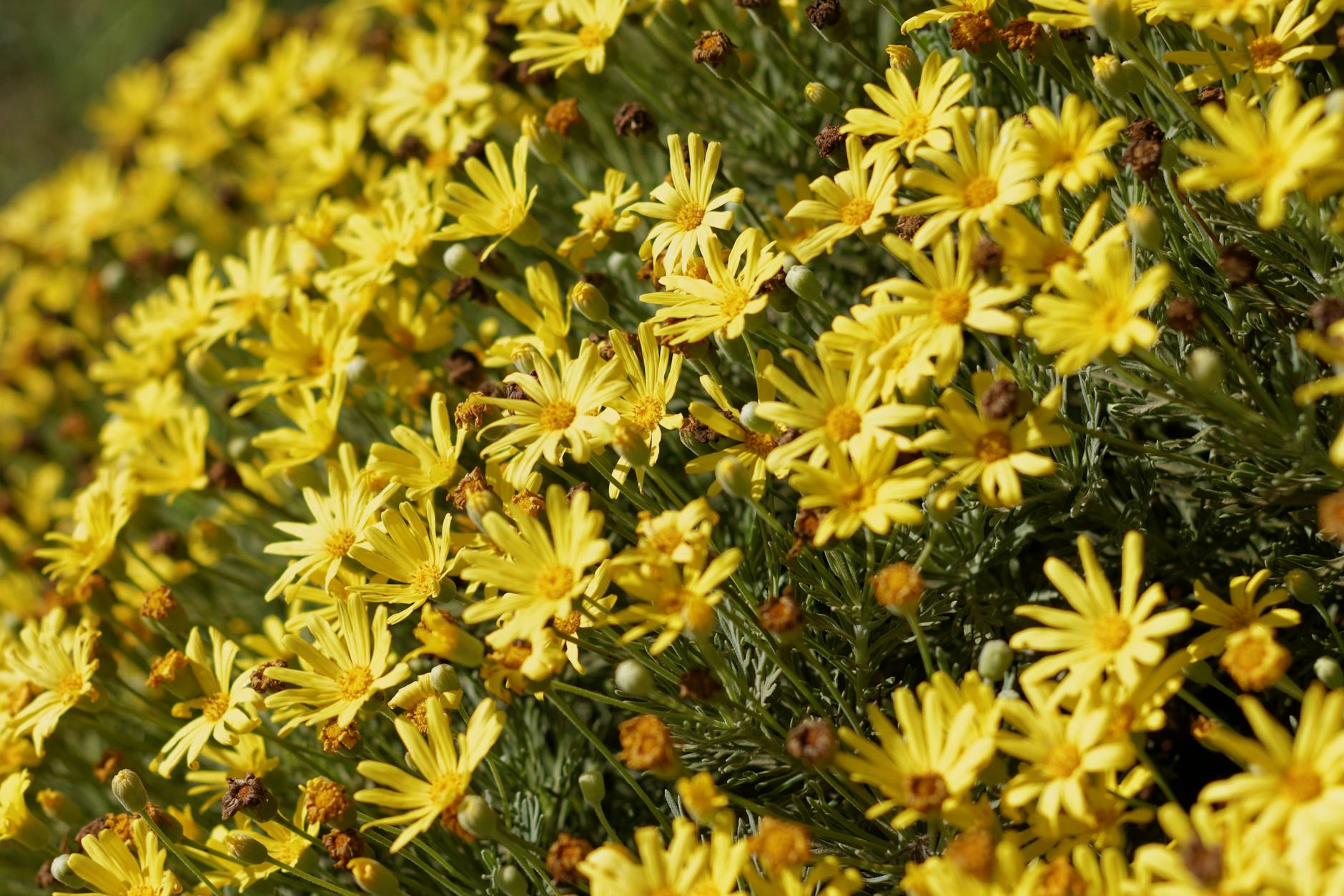 Ailin Perez's Leaked Secrets Unveiled.