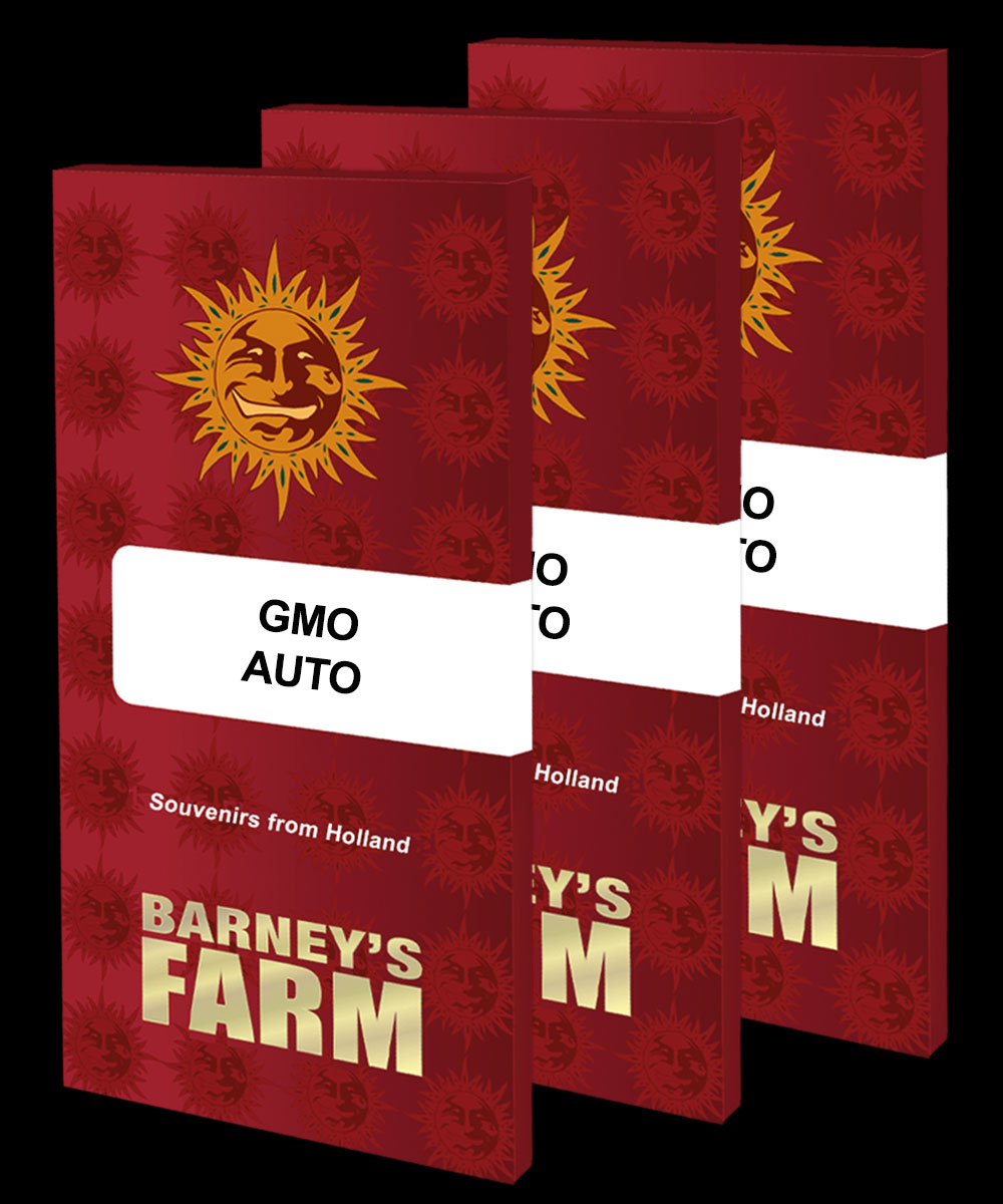 Gmo Auto Barneys Farm