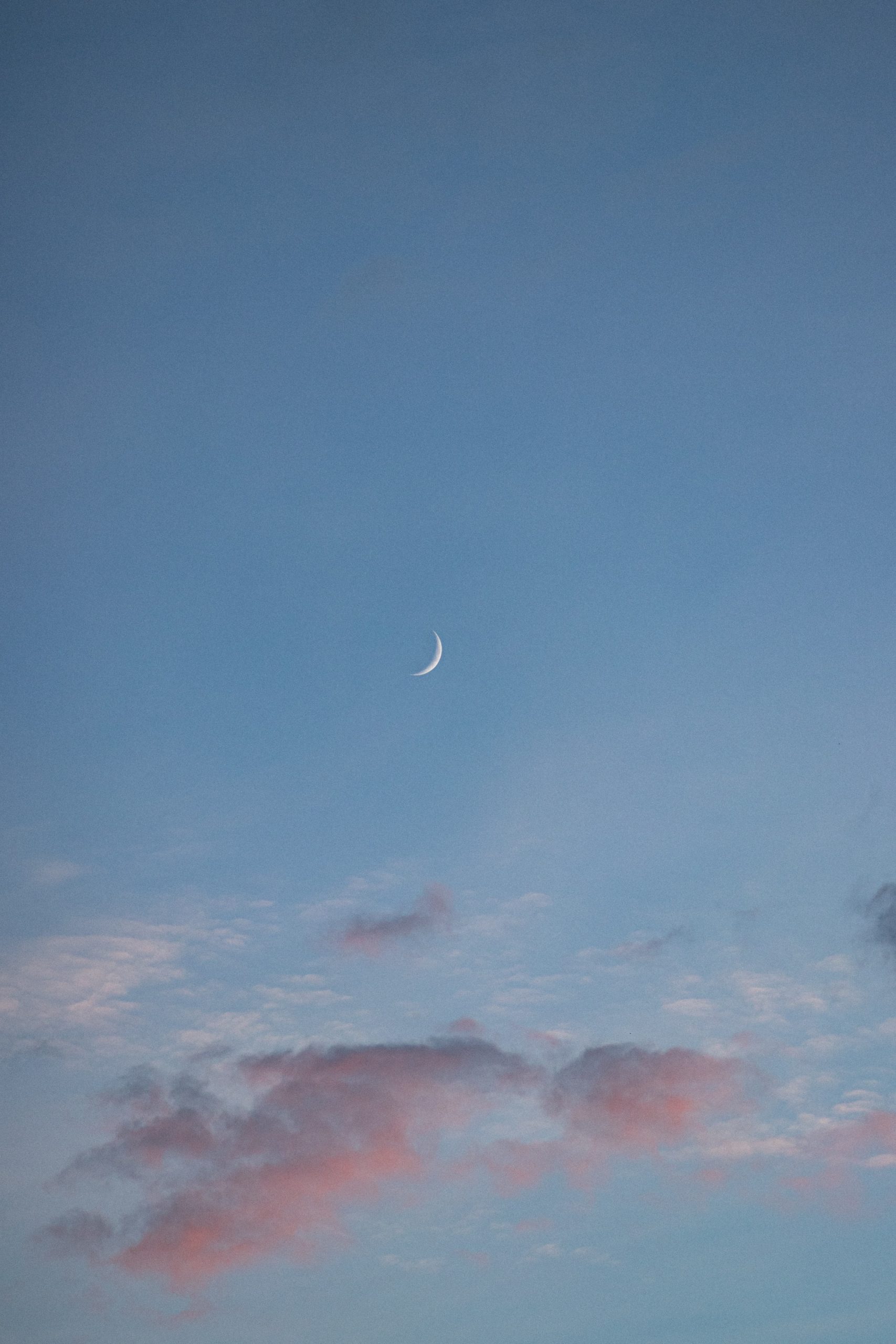 Rise Today Com Rise Today Com